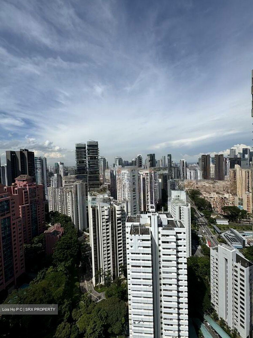 Irwell Hill Residences (D9), Apartment #451088411